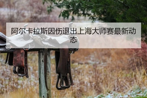 阿尔卡拉斯因伤退出上海大师赛最新动态 | YameiSports